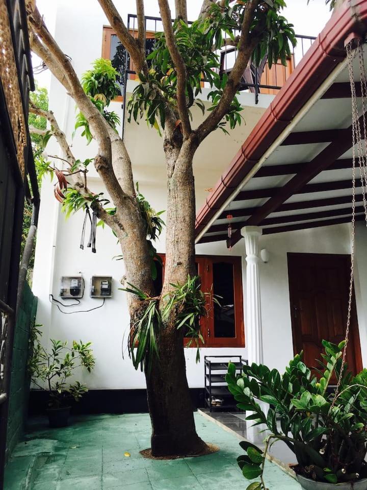 Bed and Breakfast House Of Seya Negombo Exterior foto