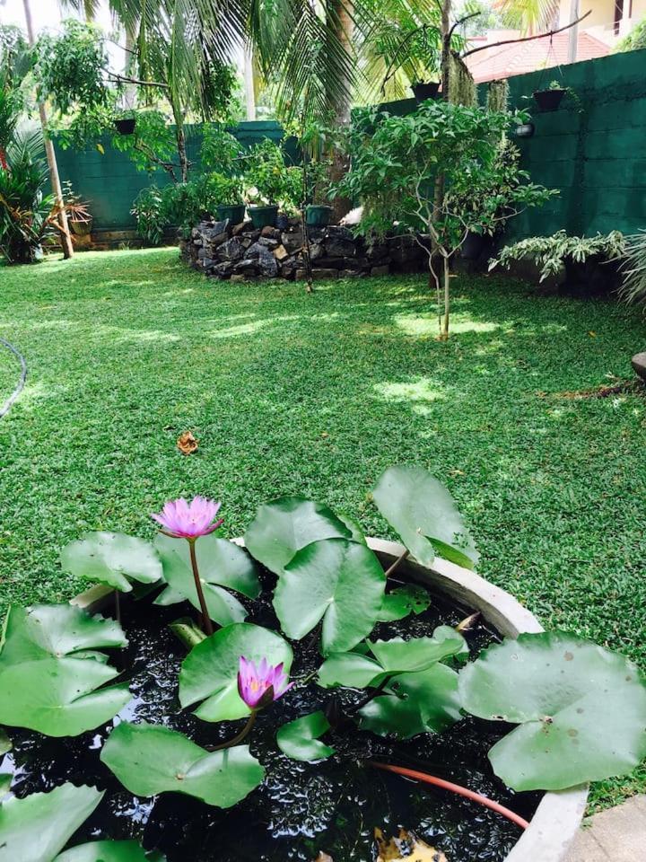 Bed and Breakfast House Of Seya Negombo Exterior foto